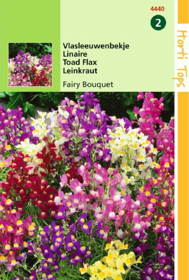 Vlasleeuwenbekje Fairy Bouquet (Linaria maroccana) 7500 zaden